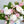 Load image into Gallery viewer, Hand Tied Bouquet - Designer's Choice - Fresh Flower Bar