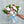 Load image into Gallery viewer, Hand Tied Bouquet - Designer's Choice - Fresh Flower Bar