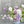 Load image into Gallery viewer, Mojito - Fresh Flower Bar