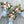 Load image into Gallery viewer, Hand Tied Bouquet - Designer's Choice - Fresh Flower Bar