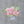 Load image into Gallery viewer, Cosmopolitan - Fresh Flower Bar