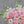 Load image into Gallery viewer, Cosmopolitan - Fresh Flower Bar