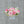 Load image into Gallery viewer, French 75 - Fresh Flower Bar