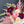 Load image into Gallery viewer, Autumn Designer’s Choice