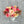 Load image into Gallery viewer, Designer's Choice - Fresh Flower Bar