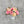 Load image into Gallery viewer, Autumn Designer's Choice - Fresh Flower Bar