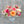 Load image into Gallery viewer, Forget Me Not Package - Fresh Flower Bar
