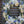 Load image into Gallery viewer, A round funeral wreath with blue and white flowers.