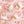Sprinkle Pop Lip Gloss - Fresh Flower Bar