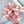 Sprinkle Pop Lip Gloss - Fresh Flower Bar
