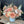 Load image into Gallery viewer, Autumn Designer’s Choice
