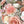 Load image into Gallery viewer, Autumn Designer’s Choice
