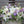 Load image into Gallery viewer, Half Casket Cover - Fresh Flower Bar
