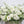 Load image into Gallery viewer, A photo of a Full Casket Cover made with all white flowers.
